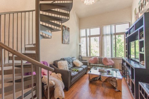 949 Marine St Lofted Bedroom Living Room